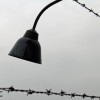Centros de detención de Texas violan derechos humanos 13286783_s