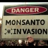 CAFTA-DR Part 2: The Central American Fight for Food Sovereignty Monsanto in Central America