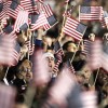 Doing Business in the US: The Differences Between EB-5 and L1A Visas american flags